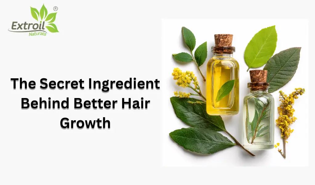 The Secret Ingredient Behind Better Hair Growth