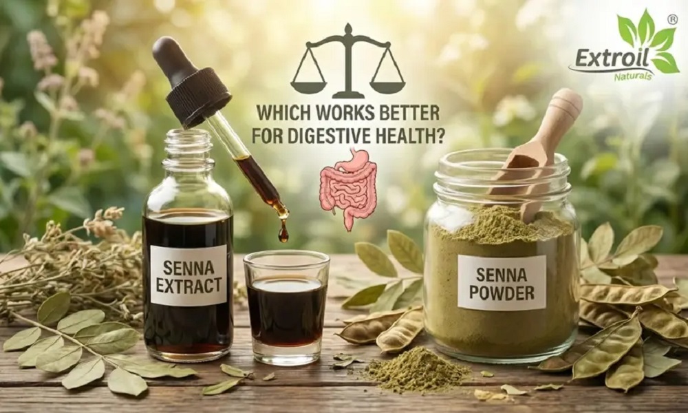 Senna Extract vs Senna Powder: Which Works Better for Digestive Health?