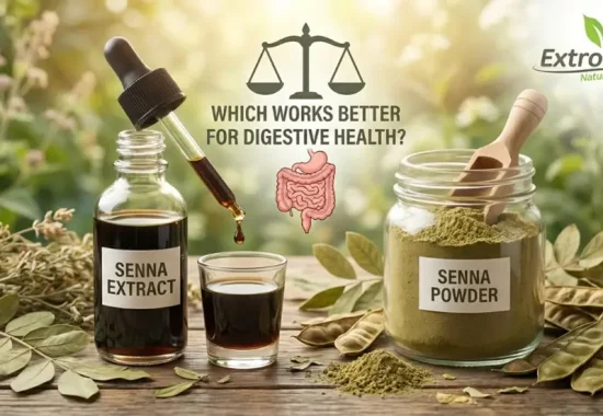 Senna Extract vs Senna Powder: Which Works Better for Digestive Health?