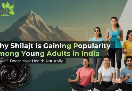 Why Shilajit Is Gaining Popularity Among Young Adults in India