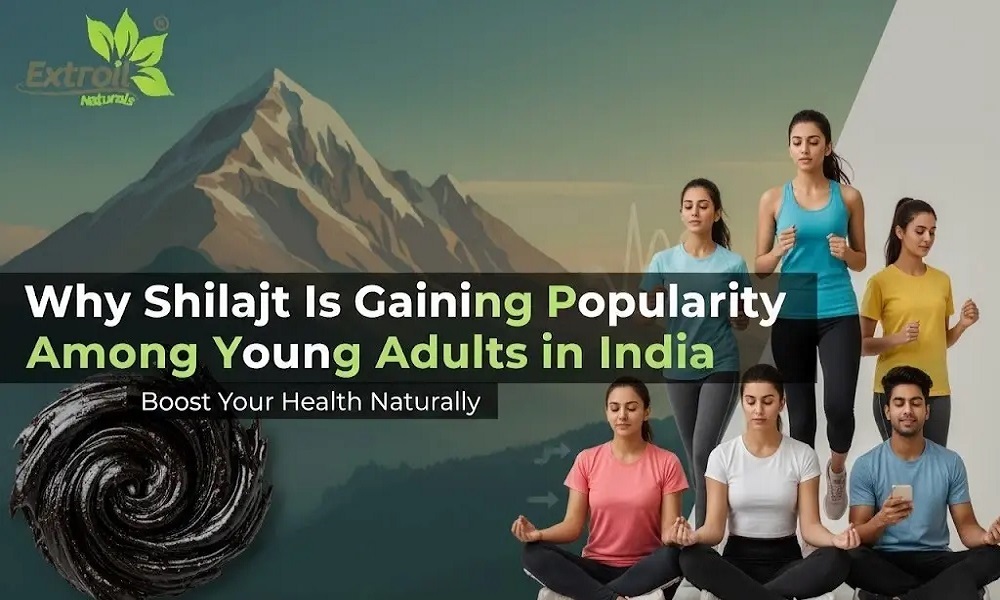 Why Shilajit Is Gaining Popularity Among Young Adults in India