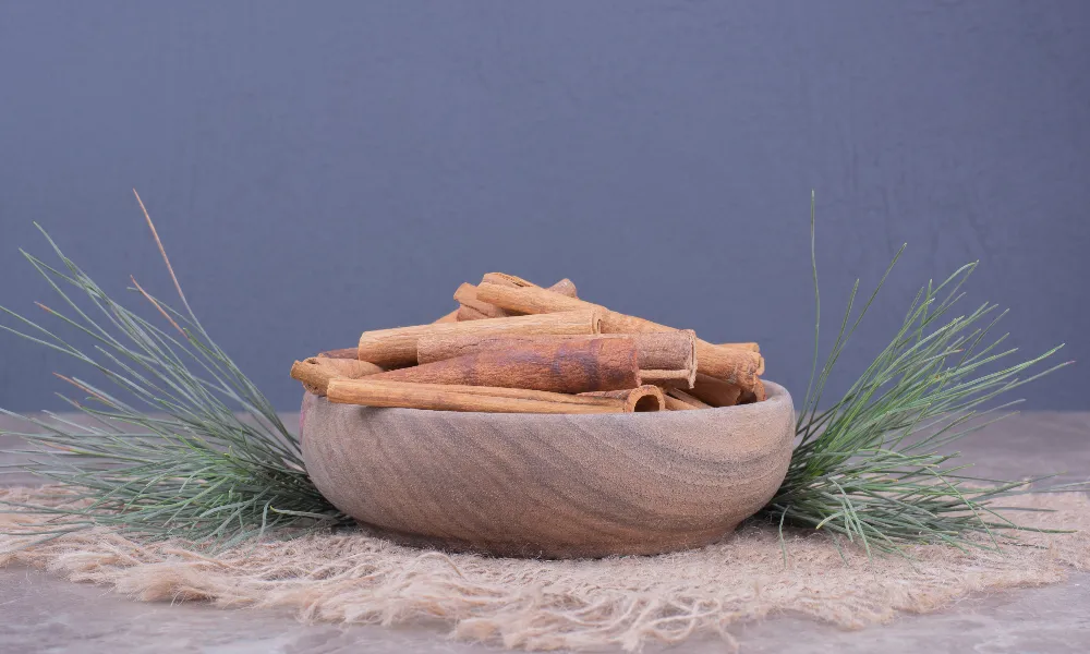 Beyond the Hype: Why Ashwagandha Extract is the Real Deal for Your Nervous System