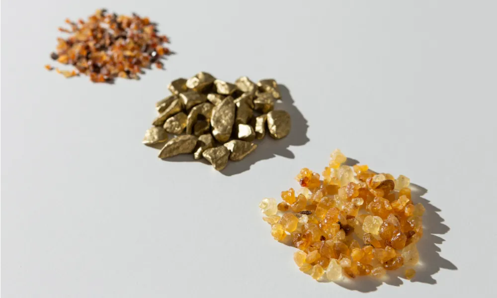 Beyond the Gold: Why Boswellia Extract is the Real Secret to Moving Without the Constant Ache