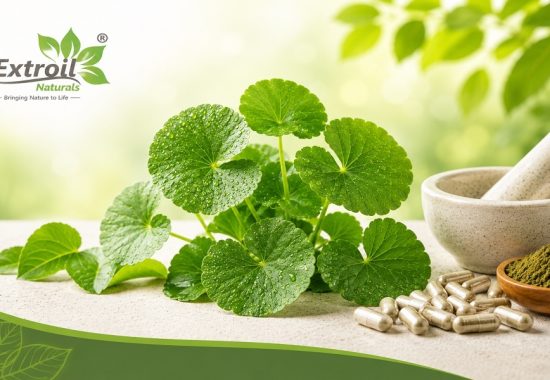 Benefits of Using High-Purity Centella Extract in Supplements
