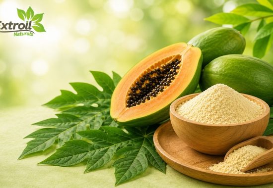 How to Choose the Right Papain Enzyme Manufacturer in India