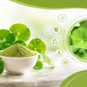 What-Are-the-Top-10-Benefits-of-Centella-Asiatica-A-Complete-Guide
