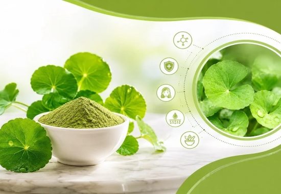 What Are the Top 10 Benefits of Centella Asiatica? A Complete Guide