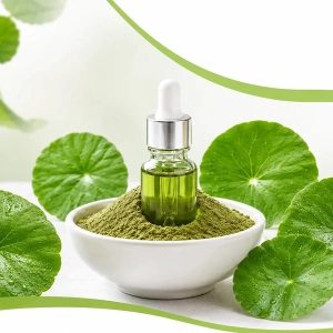 What-Makes-a-High-Quality-Centella-Asiatica-Extract