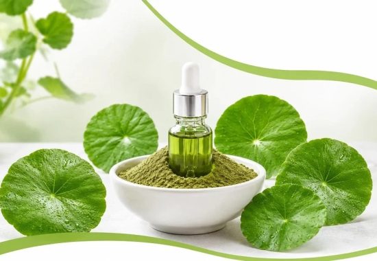 What Makes a High-Quality Centella Asiatica Extract?
