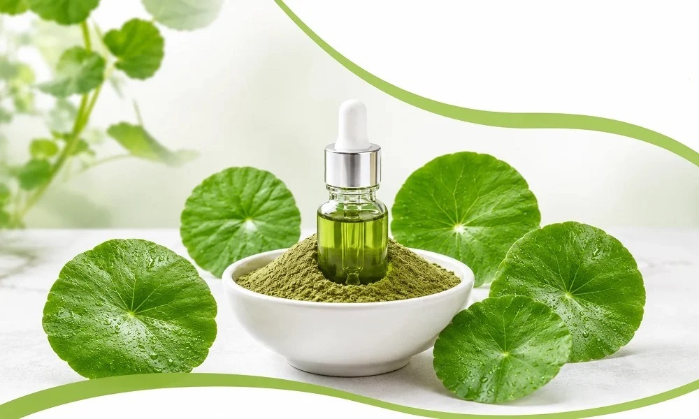 What-Makes-a-High-Quality-Centella-Asiatica-Extract