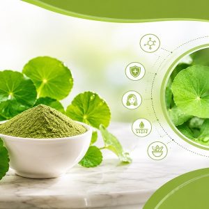 What Are the Top 10 Benefits of Centella Asiatica - A Complete Guide