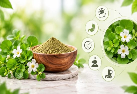 Bacopa Extract Side Effects: What You Need to Know Before Taking It (and How It Differs from Ashwagandha Extract)